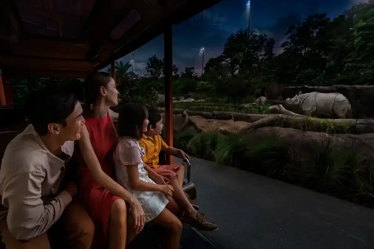 Night Safari