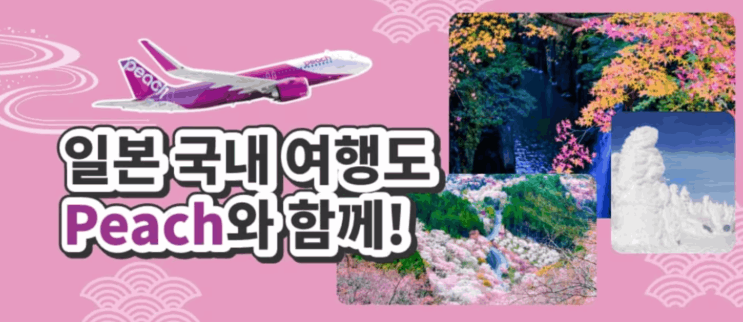 피치항공