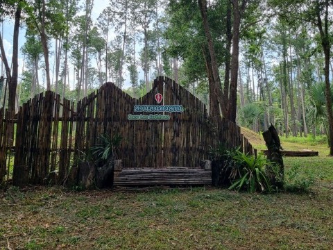 สวนสนดงลาน - ที่เที่ยวภูผาม่าน