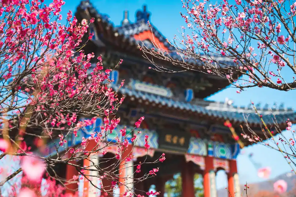 สุสานหมิงเสี่ยว