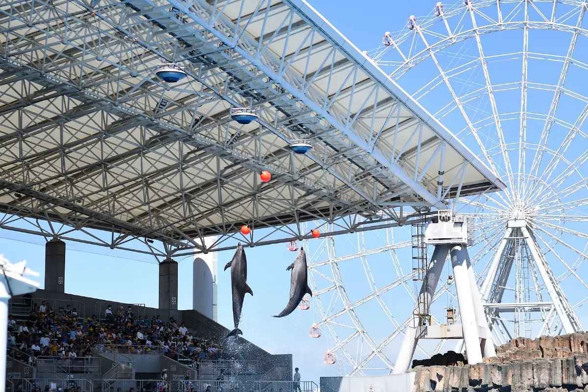 나고야 혼자 여행 후기 