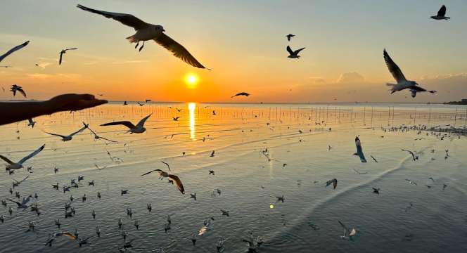 ที่เที่ยวใกล้กรุงเทพ