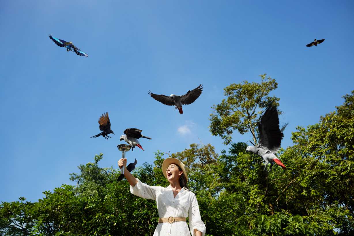 มันได ไวลด์ไลฟ์ รีเสิร์ฟ (Mandai Wildlife Reserve)