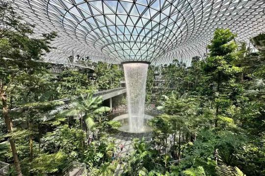 The HSBC Rain Vortex waterfall surrounded by lush greenery at Jewel Changi Airport