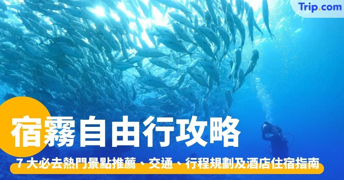 宿霧自由行：行前準備、5 天 4 夜行程規劃、景點美食推介  | Trip.com