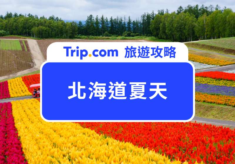 北海道夏天