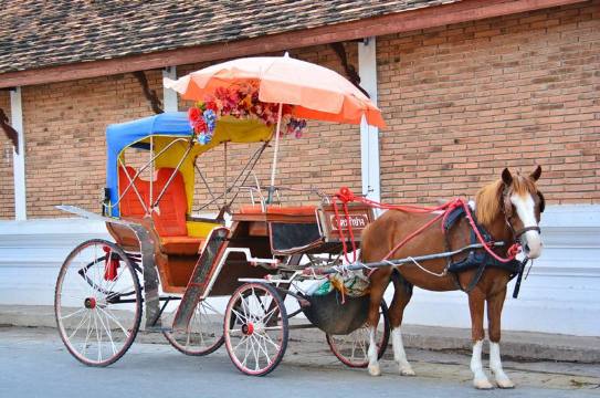 รถม้าในลำปาง