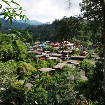 12. ชุมชนบ้านป่าเหมี้ยง