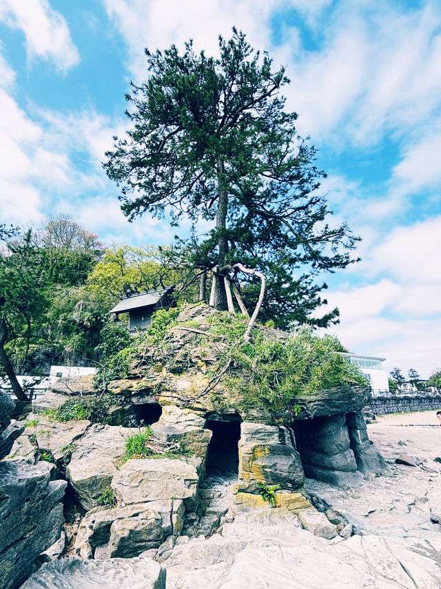 義經岩