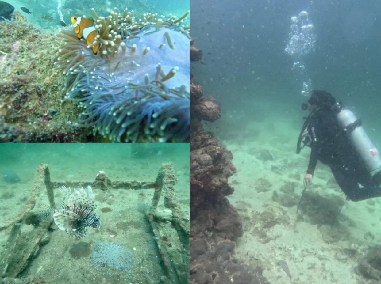 Pulau Payar Marine Park