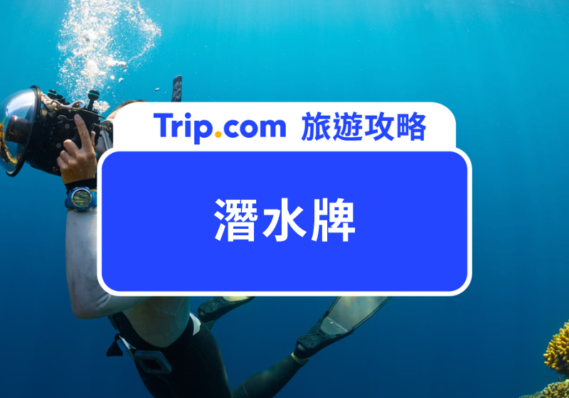 潛水牌