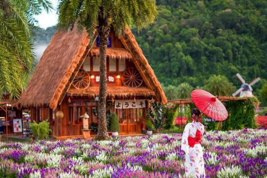 Hokkaido Flower Park Khaoyai