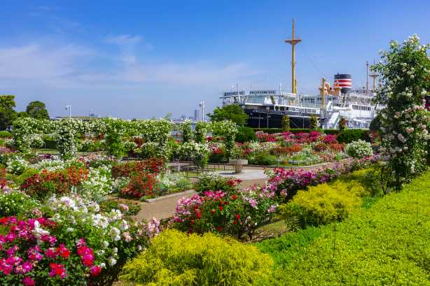 สวนยามาชิตะ