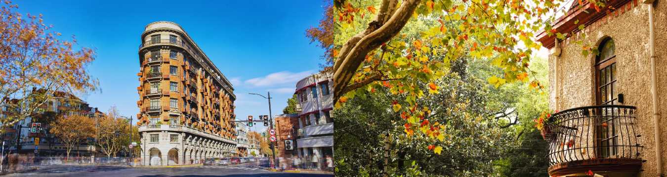 Collage of a historic corner building and a balcony with greenery in the Shanghai French Concession