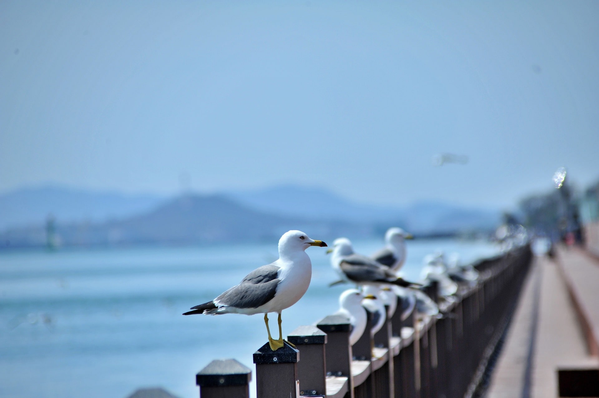 Yongsan-Mokpo