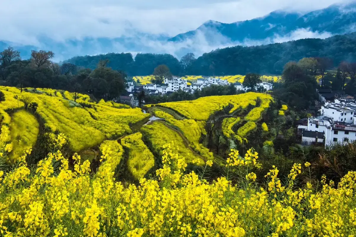 อู้หยวน