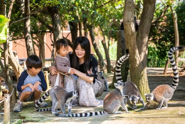神戶動物王國｜非洲濕地