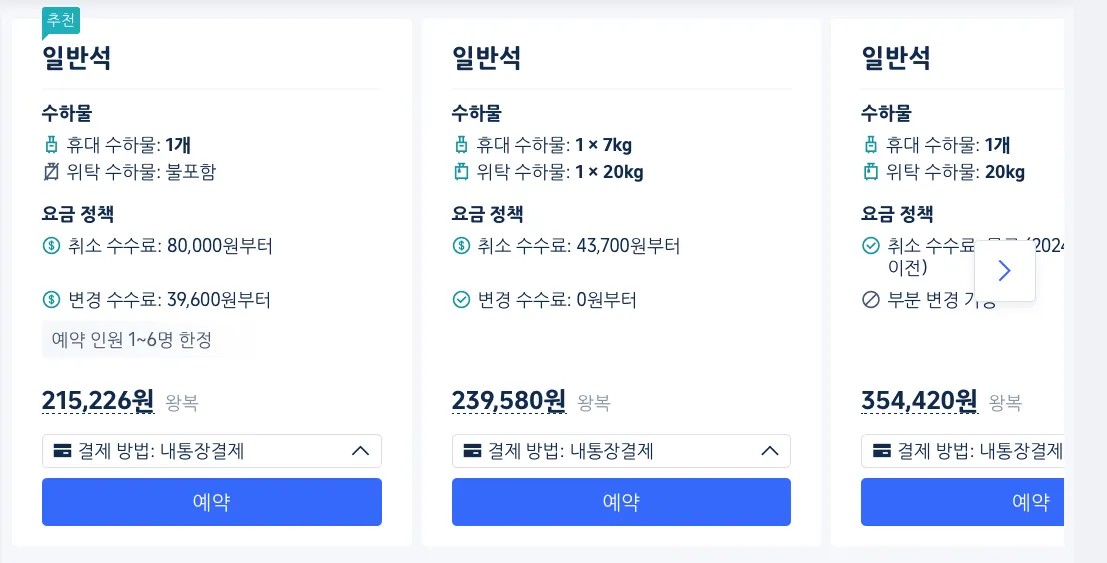 기내 수하물 가방 2개, 수하물 추가