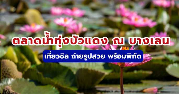 ตลาดน้ำทุ่งบัวแดง ณ บางเลน 2569: คู่มือเที่ยว ล่องเรือ ถ่ายรูปสวย | Trip.com