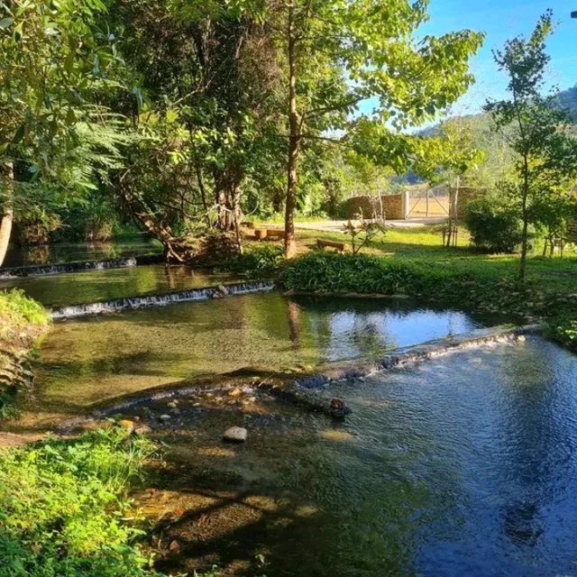 น้ำพุร้อนไทรงาม