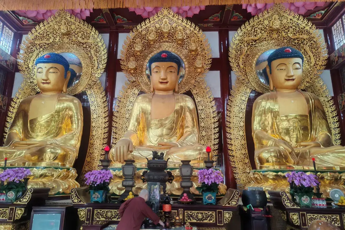 Temple of the Six Banyan Trees