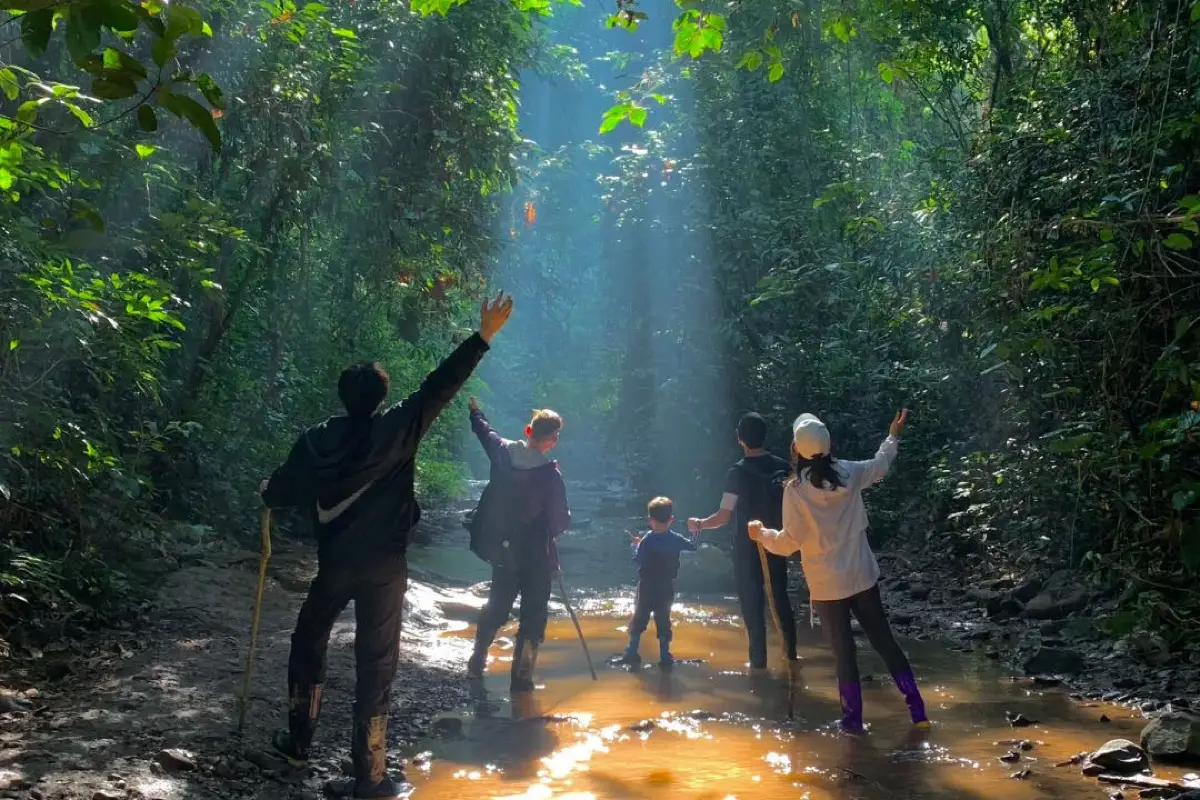 Jino Mountain Rainforest Hiking