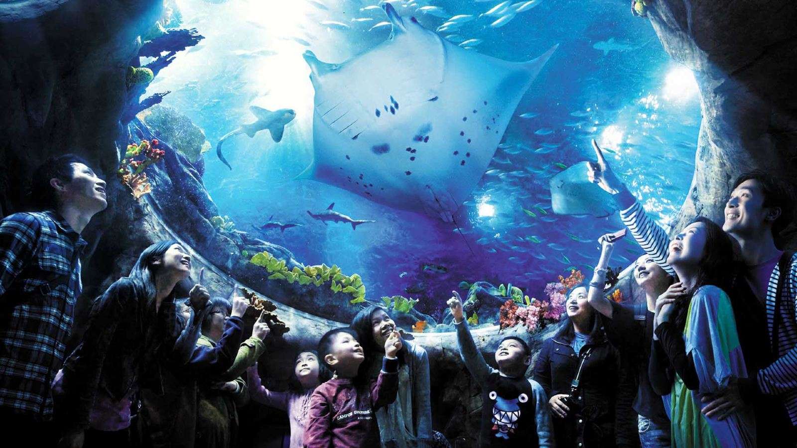 Океанариум в Ocean Park