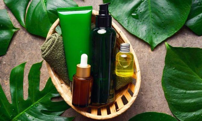 สินค้าออแกนิก - ของฝากเชียงใหม่