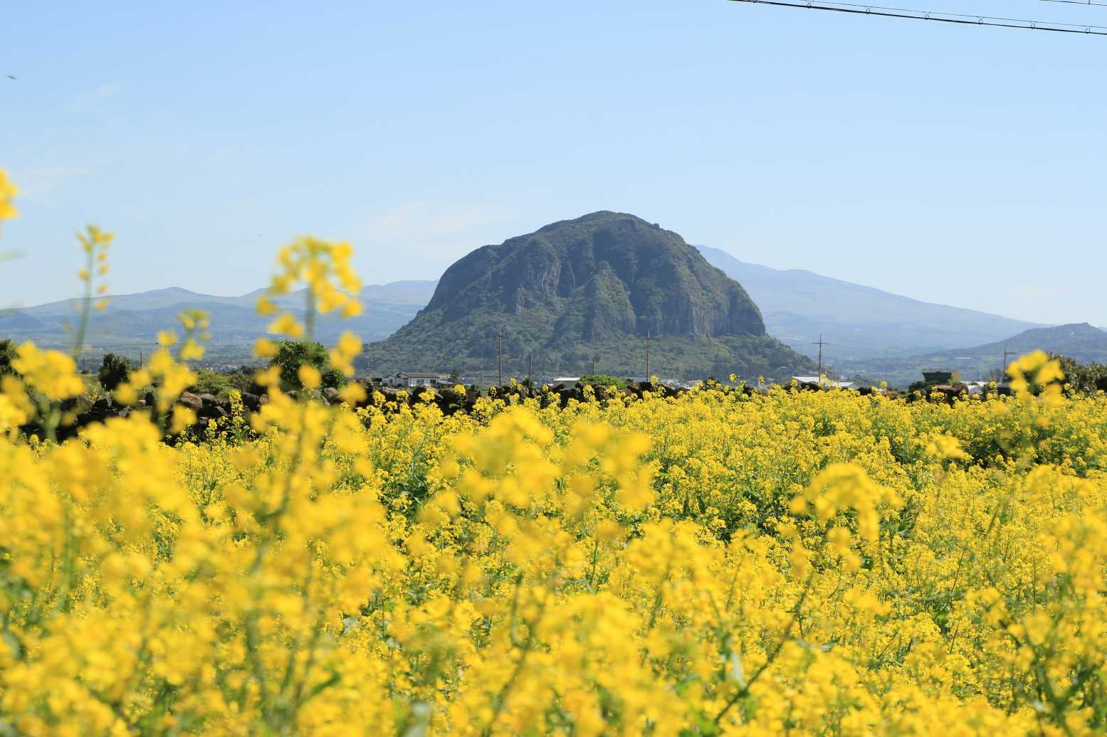 국내 힐링 여행 제주