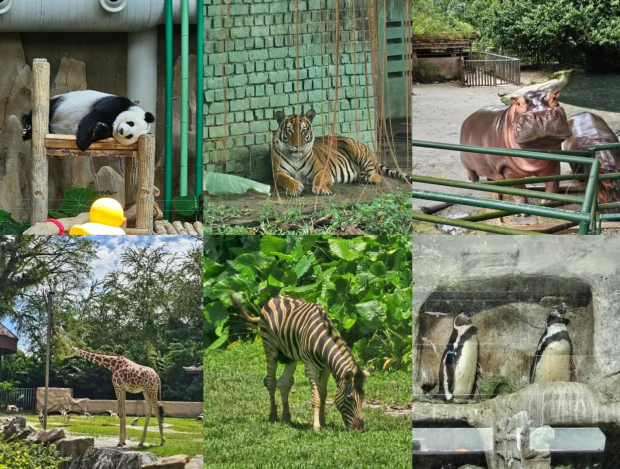 National Zoo of Malaysia