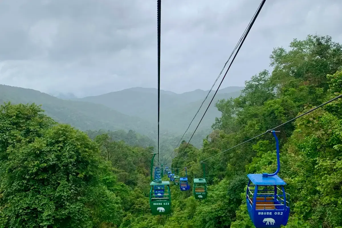 หุบเขาช้างป่า