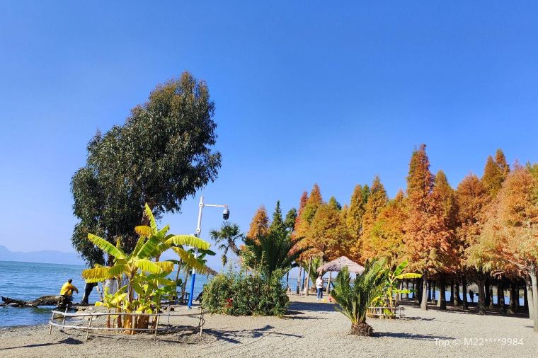 เที่ยวคุนหมิงฤดูใบไม้ร่วง