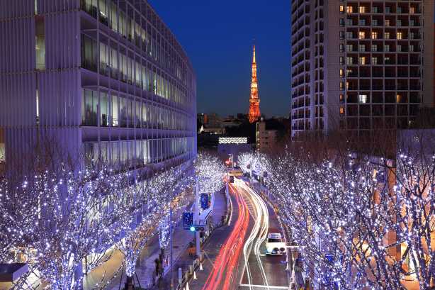 โซนไฟประดับ Roppongi / Marunouchi