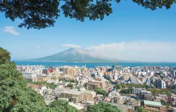 가고시마 벚꽃 전망대