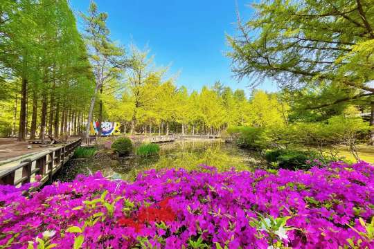 국내 힐링 여행