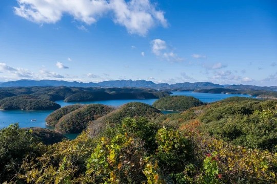 대마도 벚꽃 명소, 아소베이 파크