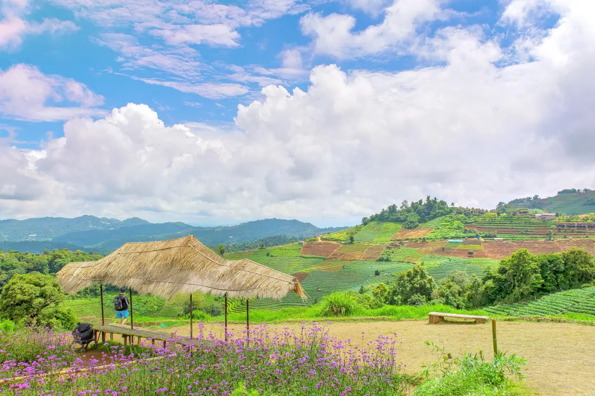 ม่อนแจ่ม