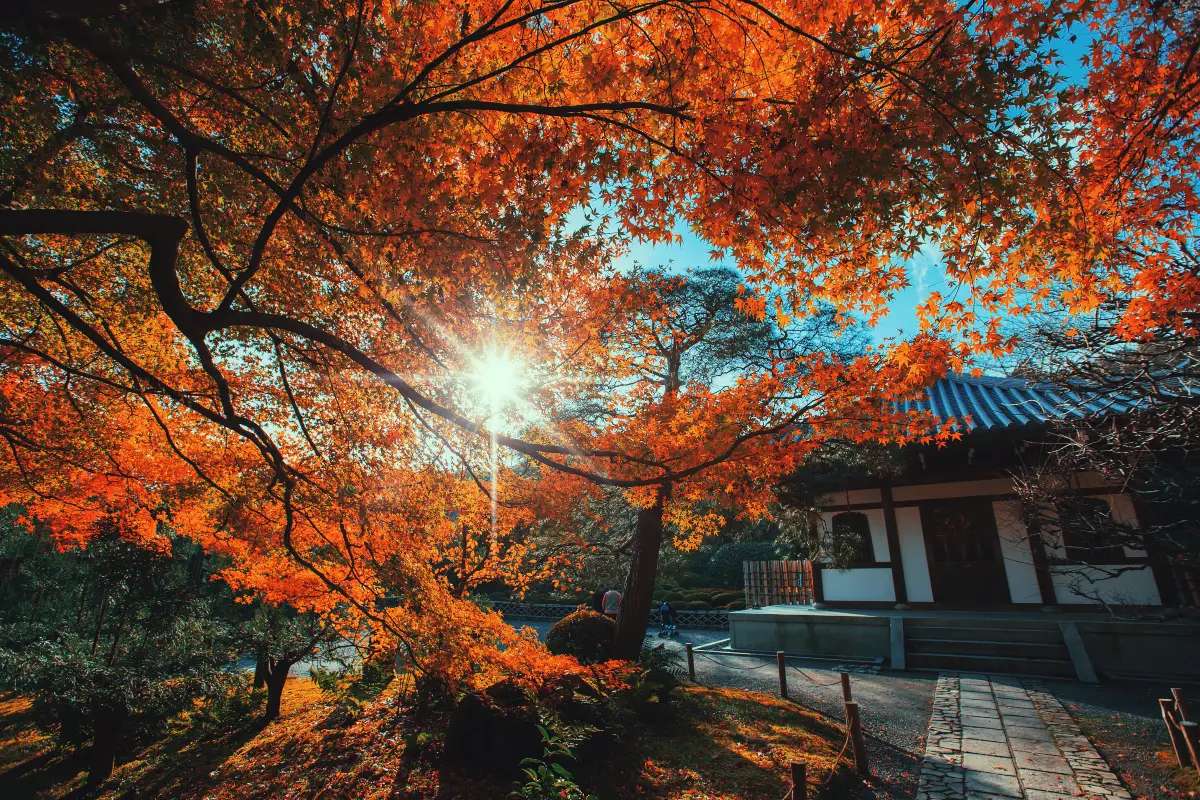 龍安寺