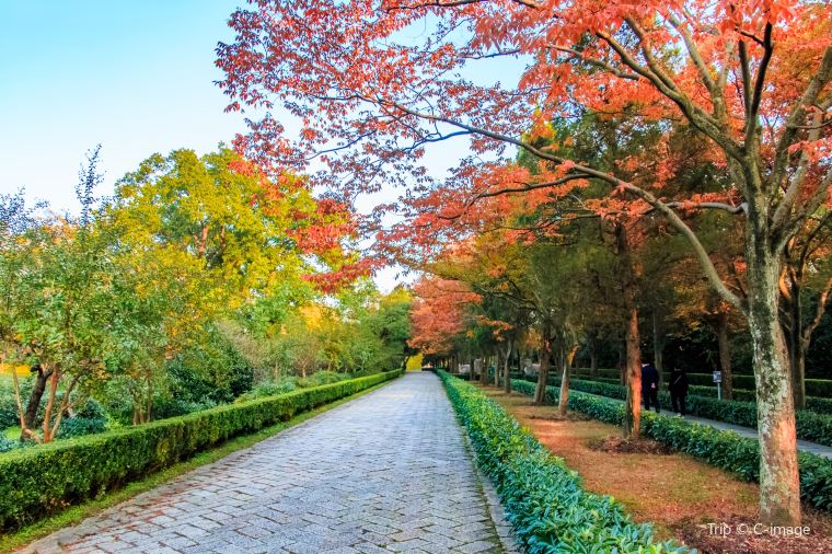 เที่ยวหนานจิงเดือนไหนดี