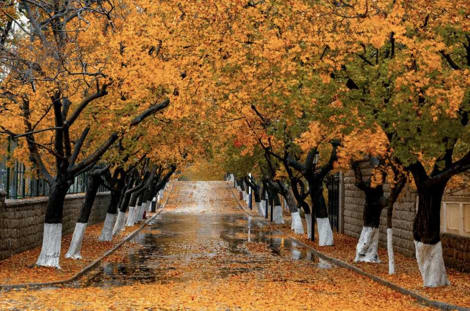 칭다오 혼자 여행 경비