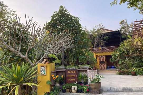 นกขมิ้นโฮม เชียงดาว