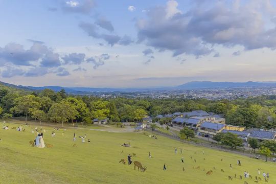 나라 당일치기 투어 