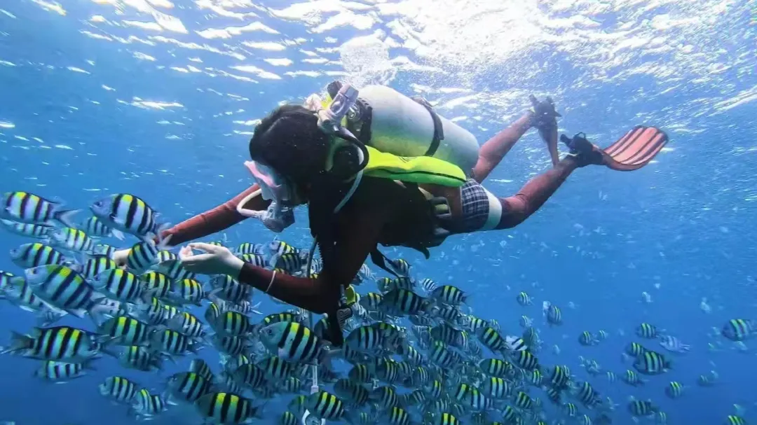 三亞潛水, 分界洲島