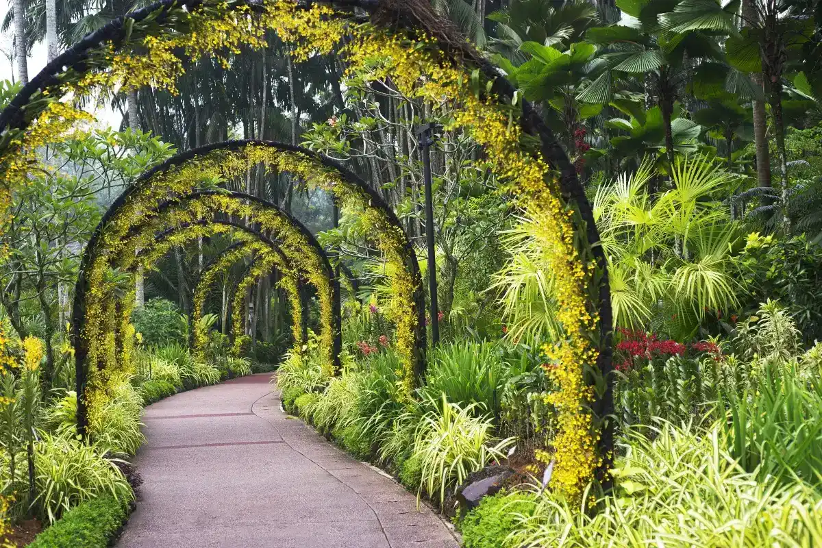 National Orchid Garden Singapore