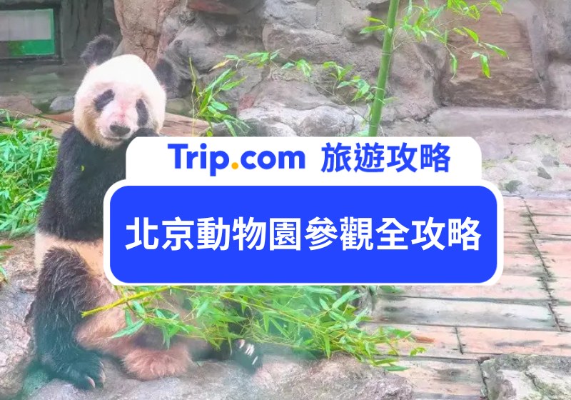 北京動物園參觀全攻略