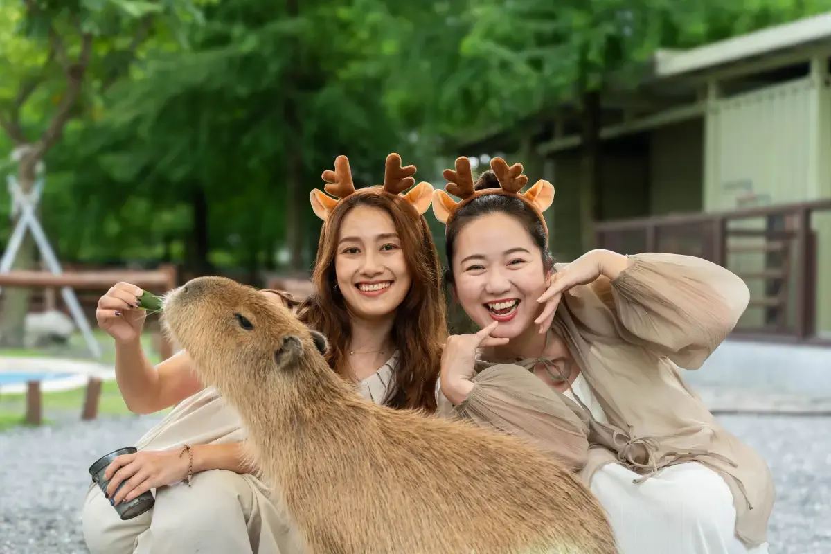 其他動物互動區