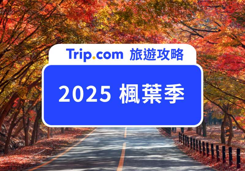 2025 楓葉季