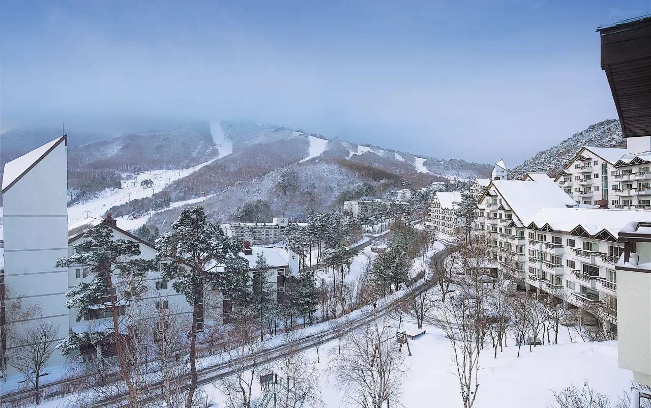 8. Muju Deogyusan Ski Resort
