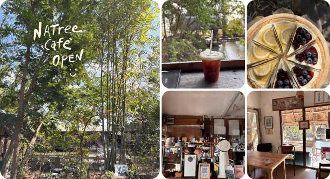 NaTree Cafe Suphanburi
