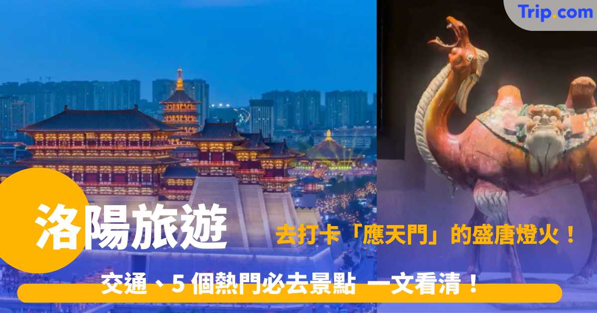 洛陽旅遊 2026 去打卡「應天門」的盛唐燈火!交通、5 個熱門必去景點 一文看清!
